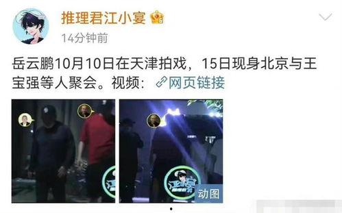 扒叔大爆料最新消息,娱乐圈最新重磅爆料，真相令人震惊！